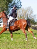 IMG_2135 IMG_2135