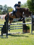 AP103967 AP103967