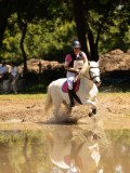 DSC01403 DSC01403
