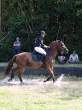 IMG_5956