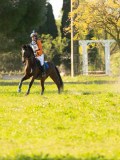 DSC00563 DSC00563