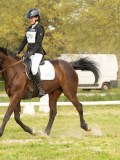 DSC08775 DSC08775