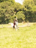 DSC00687 DSC00687