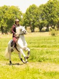 DSC00689 DSC00689