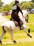 DSC00693 DSC00693