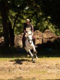 DSC01391 DSC01391