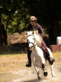 DSC01394 DSC01394