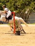 DSC09984 DSC09984
