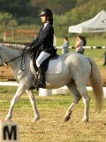 MAX00356