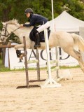 DSC09811 DSC09811