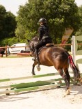 DSC04465 DSC04465