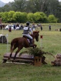 IMG_4025 IMG_4025