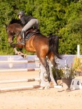 DSC03795 DSC03795