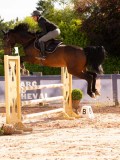 DSC03798 DSC03798