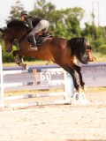 DSC03799 DSC03799