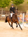 DSC00138 DSC00138