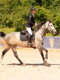 DSC09234 DSC09234