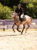 DSC09244 DSC09244
