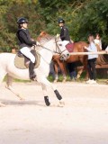 DSC07938 DSC07938