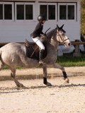 DSC06458 DSC06458