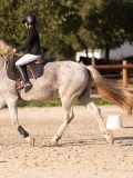 DSC06459 DSC06459