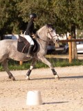 DSC06460 DSC06460