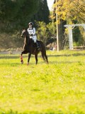 DSC00654 DSC00654