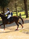 DSC00658 DSC00658