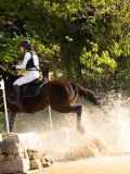 DSC00664 DSC00664