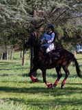 IMG_0107 IMG_0107
