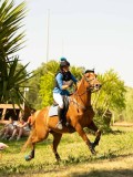 DSC00457 DSC00457