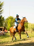 DSC00458 DSC00458