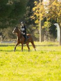 DSC00739 DSC00739