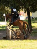DSC00749 DSC00749