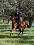 IMG_0238 IMG_0238