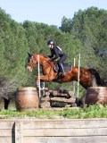 IMG_0240 IMG_0240