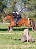 IMG_0245 IMG_0245