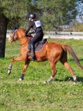IMG_0248 IMG_0248