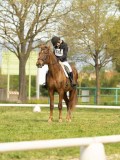 DSC08935 DSC08935
