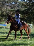 IMG_0139 IMG_0139