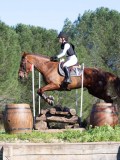 IMG_0143 IMG_0143