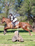 IMG_0147 IMG_0147