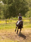 DSC04314 DSC04314