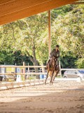 IMG_8155 IMG_8155