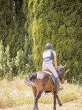 IMG_9666 IMG_9666
