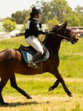 DSC00746 DSC00746