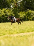 DSC00756 DSC00756