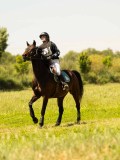 DSC00758 DSC00758