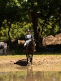 DSC01438 DSC01438