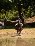 DSC01439 DSC01439